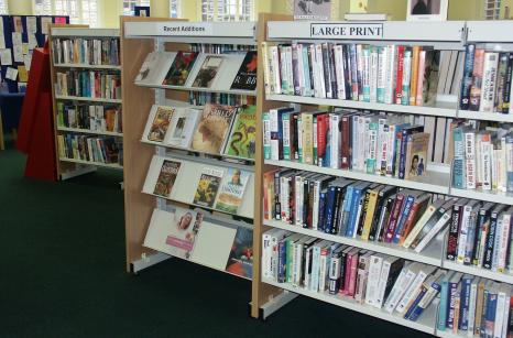 Schools library shelving